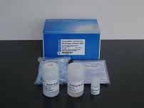 Purification Kit Bulk Series
