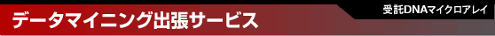 �f�[�^�}�C�j���O�o���T�[�r�X