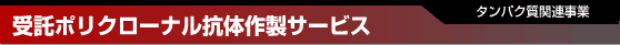 ����|���N���[�i���R�̍쐻